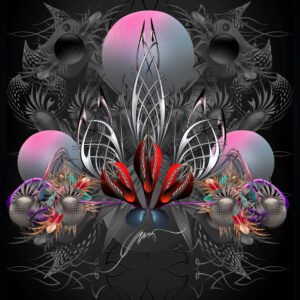 NOID-0179